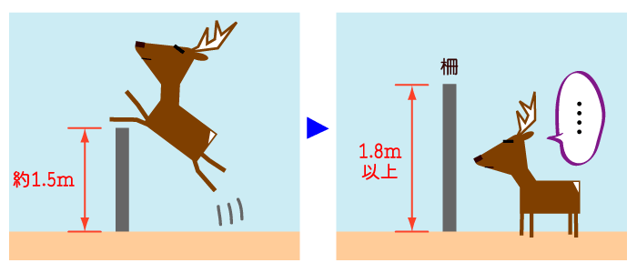 適切な高さの柵を設置する_鹿