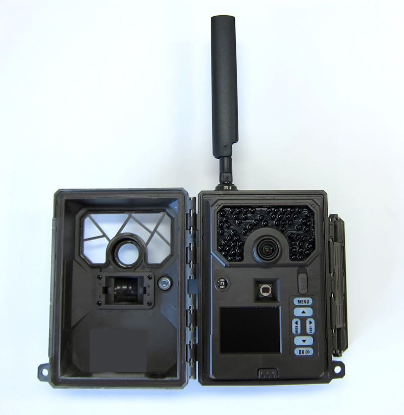 TREL(g) 4G-R BeJigCJj