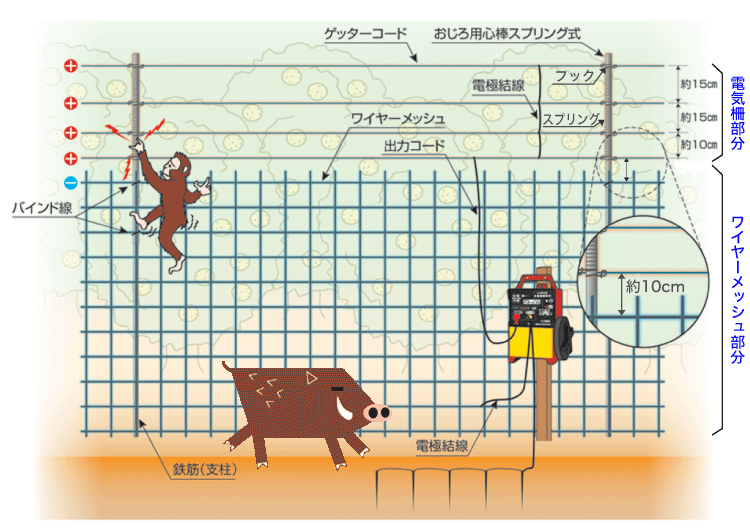 おじろ用心棒スプリング式 200mセット_設置方法1