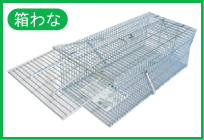 箱わな